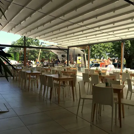 Gladiola 1 Ex Akacia Golden Sands